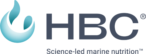 HBC Berkåk AS logo