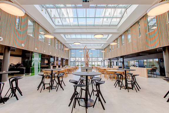 Bilde 5 av 10 i jobbannonse-galleriet